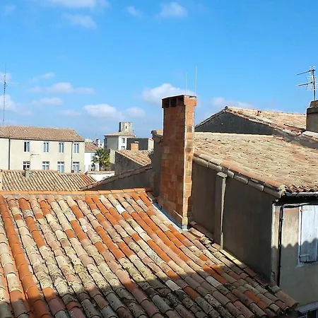 Dans Un Jardin En Ville شقة قرقشونه