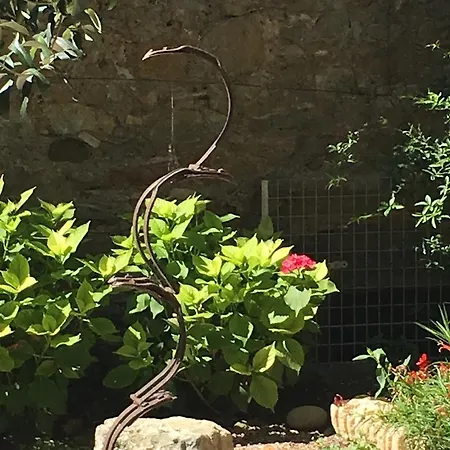 Dans Un Jardin En Ville * قرقشونه