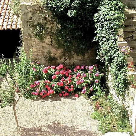 Dans Un Jardin En Ville شقة *