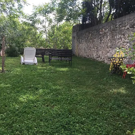 Dans Un Jardin En Ville قرقشونه