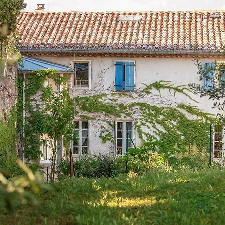 Dans Un Jardin En Ville قرقشونه